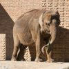Berlin Zoo